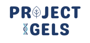 Project_IGELS_transparent-0001.png