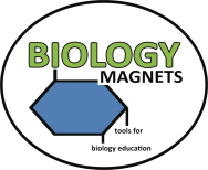 Biology_Magnets_Logo_2.jpg