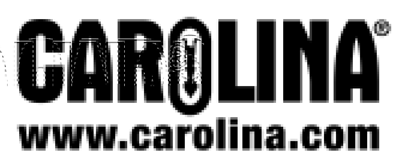 Carolina_BW.jpg